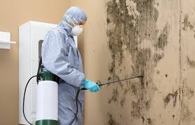 Best Mold Remediation for Healthcare Facilities  in Parks, AZ